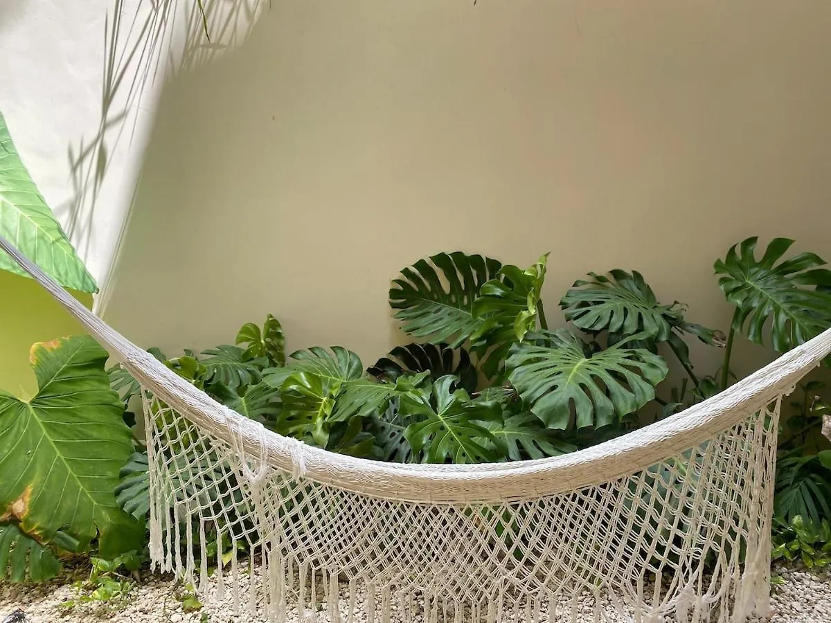 Bohemian La Veleta 3 Bdr W Rooftop Pool Tulum 0*,  Meksyk